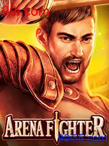 ArenaFighter